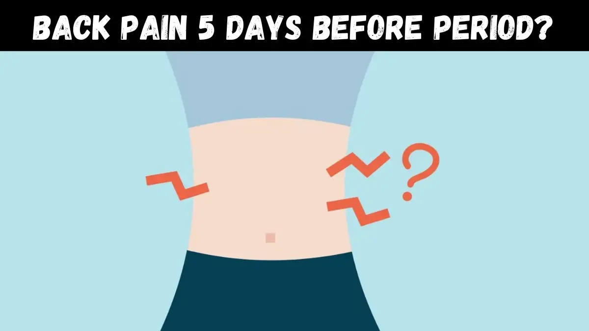 Back pain 5 Days Before Period? Here's How to Relieve Back Pain