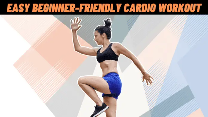 beginner friendly cardio workout