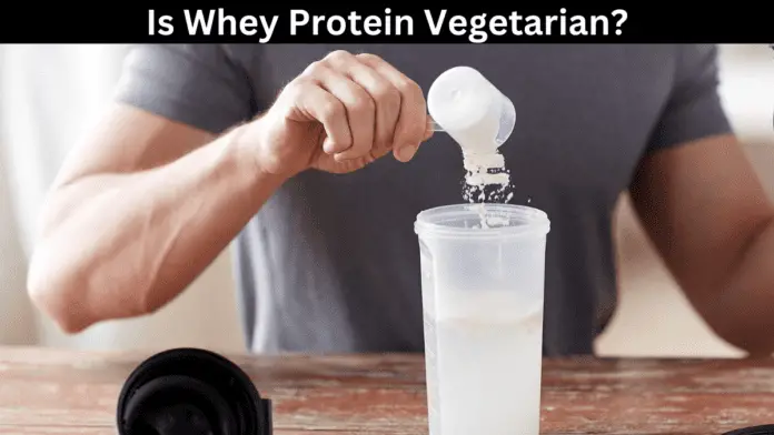 Is Whey Protein Vegetarian?